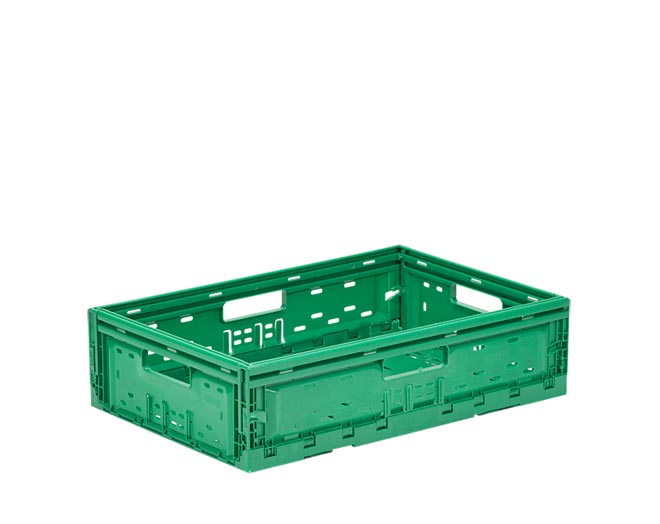 RG-6416